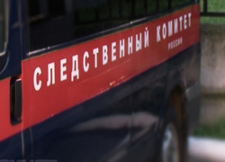 Тело 16-летней девушки нашли в воронежском лесу