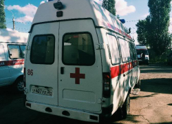 Под Воронежем фура на смерть сбила человека