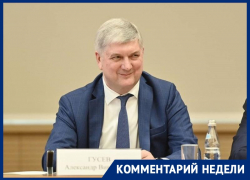 «Губернатор Гусев содержит чужую армию», - член Общественной палаты Воронежа