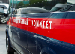 Малолетний рецидивист убил 56-летнего знакомого в Воронежской области