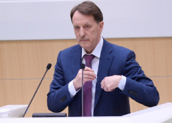 Главный единоросс Госдумы сообщил, где Алексей Гордеев отсидится до пенсии