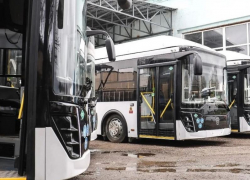 Когда десяток автобусов-«гармошек» выйдут на линию в Воронеже, рассказал Сергей Петрин