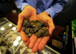 Житель Воронежской области организовал наркопритон 