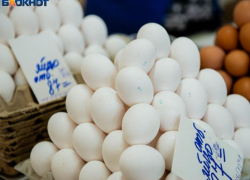 В воронежцах оказалось больше яиц, чем в среднем россиянине, – исследование 