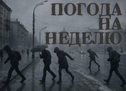 Околеть можно: какая мерзопакостная погода будет на следующей неделе в Воронеже?