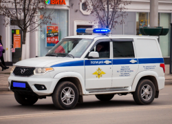 Доставить в больницу семилетнюю внучку дедушке помогла воронежская полиция