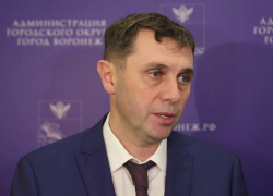 Мэр Воронежа запретил строить многоэтажку в частном секторе после общественного резонанса 