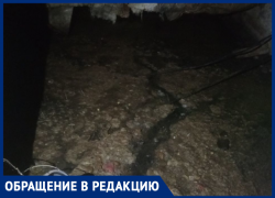 Озеро из мочи и фекалий «атаковало» многоэтажку в Воронеже 