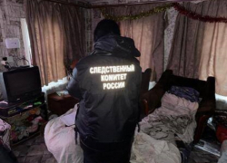 Мешала играть в телефон: за смертельное избиение сожительницы воронежцу дали реальный срок