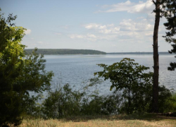Кто живет в Воронежском водохранилище, рассказали исследователи