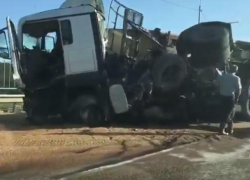 Жуткие последствия столкновения фуры и трактора на воронежской трассе сняли на видео