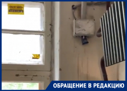 «Нашествие блох было предсказуемо»: в Воронеже показали подъезд дома, из которого эвакуировали детский сад