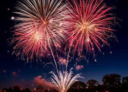 Запрет фейерверков в новогоднюю ночь опровергли в Воронежской области