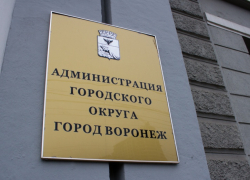 Воронежские власти выделят 21 млрд рублей на муниципальные программы