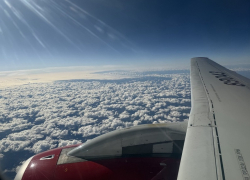 На 26% активнее: как Воронежская область покоряла мир на каникулах