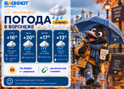 Льёт как из ведра: прогноз погоды в Воронеже