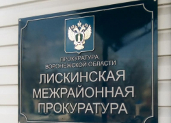  Сосед избил пенсионерку и ее девятилетнего внука в воронежском селе