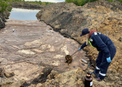 Курский арбитраж по «наводке» Росприроднадзора взыскал 5,6 млн рублей с воронежского бизнесмена 