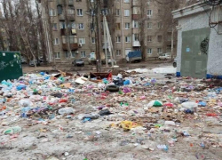 «Стая у школы и горы мусора»: двор в Воронеже превратился в опасную свалку