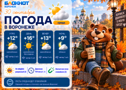 Последний теплый день: каким будет начало октября в Воронеже?