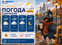 Борьба осени и лета: прогноз погоды в Воронеже