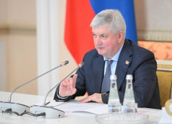 Гусев пригрозил оргвыводами в случае, если власти не справятся с последствиями снегопада в Воронеже