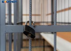Арестован мужчина, пытавшийся убить незнакомца прямо в парке в Воронежской области