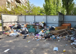 Хроники мусорного коллапса обнажили новые глубины ада в Воронеже