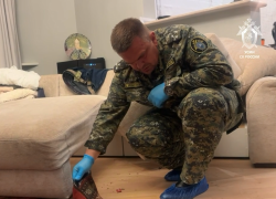 Схрон оружия и два тела: что известно о деле задержанного в Воронежской области