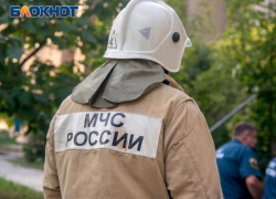 Полгода исправительных работ за случайное убийство матери назначил воронежский суд 