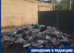 Протест воронежцев против закрытой мусорки обернулся грязным бедствием во дворе 