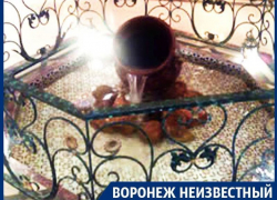 Почему весь мир ломает голову над значением герба Воронежа