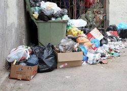 Сотрудники воронежского супермаркета выбрасывали отходы под окна горожан