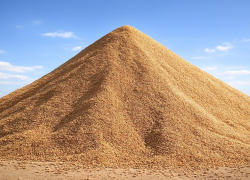 1,5 млрд рублей требуют кредиторы с обанкротившегося воронежского зернохранилища