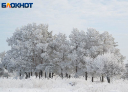 Полсотни земельных участков изъяли из частной собственности под Воронежем