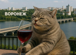 Винный потенциал будут искать в Воронежской области 