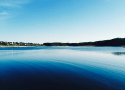 Пьяный пастух из Воронежской области утонул в реке Икорец