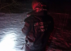 Воронежский СК подтвердил смерть женщины от выстрела в поле 