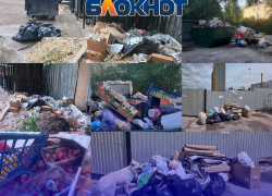 «Одна организация кивает на другую»: контейнеры в два ряда, гнилые овощи с рынка и полугодовая свалка на Коммунаров