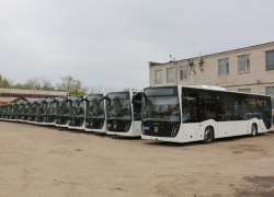 Новые большие автобусы показала мэрия Воронежа