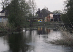 Жители Новоусманского района выступили против коттеджей вдоль реки Усманка 