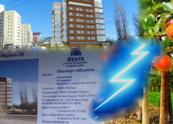 Мэрия Воронежа повторяет «историю яблоневых садов» на Чижовке