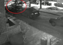 Неадекватный забег по крышам машин сняла камера в Воронеже