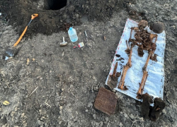 Опубликовано фото найденных останков трех красноармейцев под Воронежем