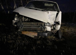 Последствия удара легковушки об дерево показала на фото воронежская полиция