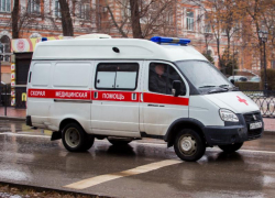 Женщина и подросток из Тамбова пострадали при опрокидывании в кювет на воронежской трассе