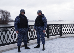 Алкоголь подставил водителя перед росгвардейцами в Воронежской области