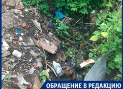 В Воронеже зловонный лог мешает людям жить