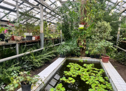 Кому достался многомиллионный грант на сохранение ботанического сада воронежского вуза