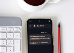 Больше 3 млн рублей семейных сбережений отдала мошенникам воронежская школьница